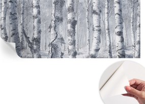 Öntapadós fotótapéta Nappaliba és Hálószobába Fagyos természet 250x104