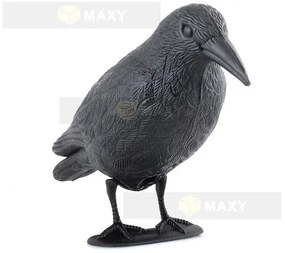 Bird scarer - raven