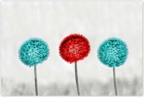 Poszterek 120x80 Piros pitypang