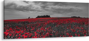 Pipacsos kép (120x50 cm)