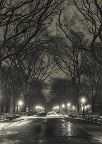 Poszter 21x29,7cm Éjszakai kilátás a Central Parkon át vezető útra, Assaf Frank