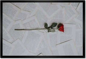 Poszterek keretben 60x40 Vörös rózsa a könyvön