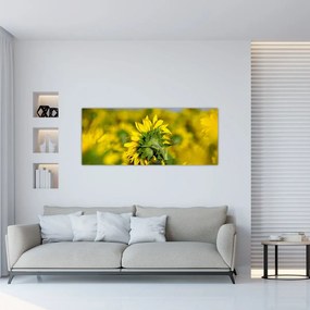 Napraforgó képe (120x50 cm)