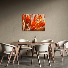 A szirmok képe (70x50 cm)