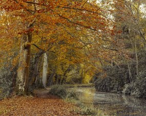 Poszter 76x60,5cm Ösvény a csatornánál, Assaf Frank