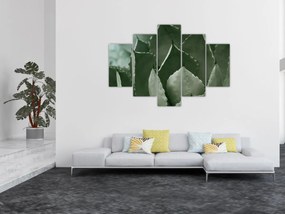 Kép - Zöld agávé (150x105 cm)