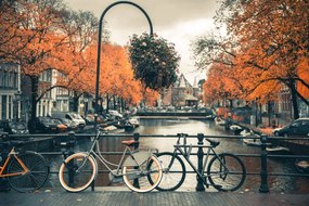 Fotográfia View of canal in Amsterdam during Autumn Season, Umar Shariff Photography, (40 x 26.7 cm)