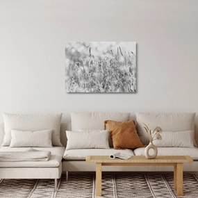 Üveg kép - Hideg tél (70x50 cm)