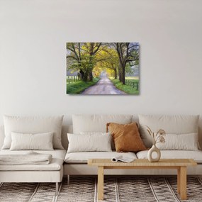 Kép - Smoky, hegység, Gatlinburg, USA (üvegen) (70x50 cm)