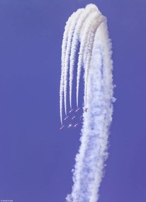 Poszter 20,5x28,4cm Red Arrows, Assaf Frank