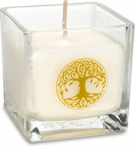 Repceviasz illatgyertya Az élet fája