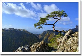 Poszterek keretben 60x40 Tájképek Kilátások Tájképek