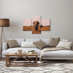 Kép - Az elefánt érkezése (90x60 cm)