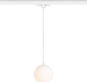 RENDL COPA háromáramkörös sínre opálüveg 230V LED E27 11W