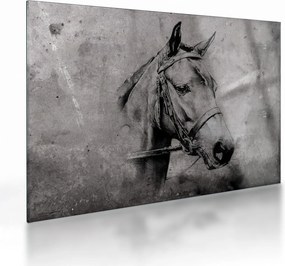 Üveg kép - Egy ló portréja (70x50 cm)