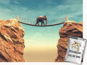 Fotótapéta Flizelina Hegyek Sziklák Híd Átjáró Elefánt Séta 150x105 ragasztó