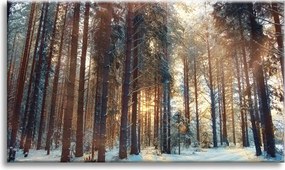 Vászonkép Erdő Tél Hó Fehér Természet 90x60 cm Ajándéknak is tökéletes