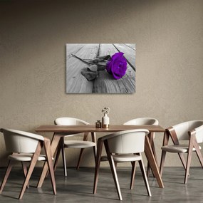 Üveg kép - Lila rózsa zöld szárral (70x50 cm)