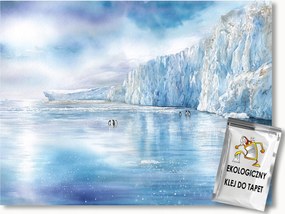 Fotótapéta Flizelina Sarkvidék Pólus Gleccser Pingvinek Tél 254x184 ragasztó