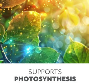 Brilagi - LED Dimmelhető fényerejű lámpa növények termesztésére VITABLOOM 3xLED/10W/230V