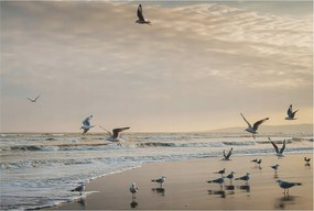 Fotótapéta Flizelin a Hálószobába Nappali Tengerparti nyugalom 104x70 Ragasztó