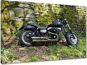 Festmények 120x80 Harley-val a kiránduláshoz