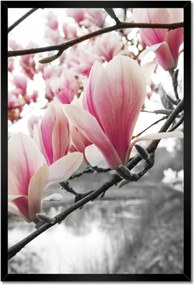 Poszterek keretben 40x60 Magnólia Virágok