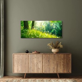 Kép - Varázslatos rét tele pitypanggal (120x50 cm)