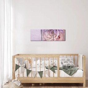 Egy rózsa virág részlete (órával) (90x30 cm)