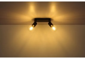 Globo 54030-2 - Spotlámpa HERMINE 2xE27/60W/230V