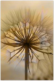 Poszterek 80x120 Pitypang Virág Virágok