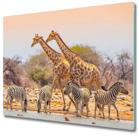 Üveg vágódeszka Zsiráfok és zebrák 60x52 cm