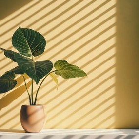 Poszter 20x20cm Arany fény