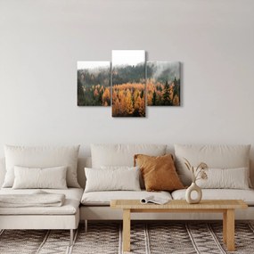 Kép - őszi erdő (90x60 cm)