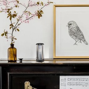 Rabalux 74206 - Asztali lámpa VENESS 1xE27/40W/230V