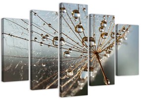 Gario Vászonkép Harmatcseppek és pókháló - 5 részes Méret: 100 x 70 cm