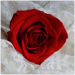 Poszterek 100x100 Kedves ajándék a kedvesedtől