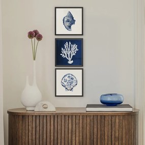 Kép 30x30 cm Sea Treasure – Styler