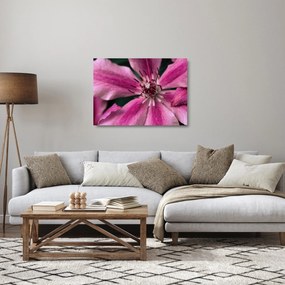 Rózsaszín flamingóvirág képe (üvegen) (70x50 cm)