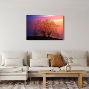 Fák a ködben (90x60 cm)