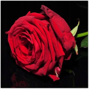 Poszterek 100x100 Nőnap Ajándék Love