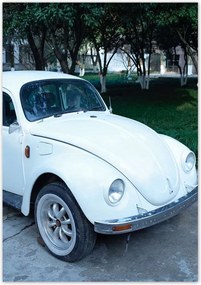 Poszterek 70x100 Bogár Volkswagen Vw Auto