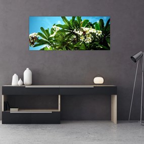 Kép - Plumeria (120x50 cm)
