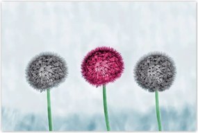 Poszterek 120x80 Szürke-lila