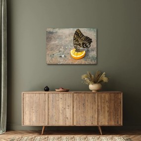 Pillangó képe (70x50 cm)