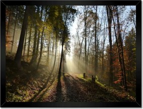 Poszterek keretben 40x30 Napfelkelte az erdőben