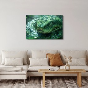 Kép - Egy kígyó portréja (90x60 cm)