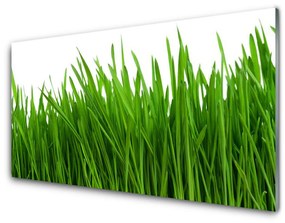 Modern üvegkép Grass Nature Plant 100x50 cm 4 fogas