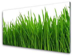 Modern üvegkép Grass Nature Plant 120x60cm