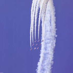 Poszter 40x40cm Red Arrows, Assaf Frank